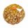  Frühlingszwiebel Wolska III 1000g