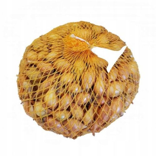  Frühlingszwiebel Wolska III 1000g