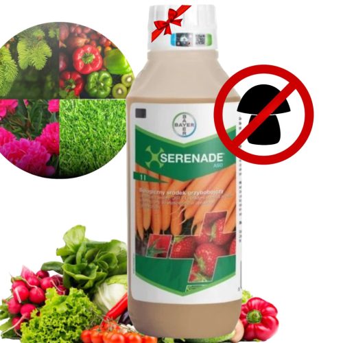Effektives Fungizid und Bakterizid: Serenade ASO mit Bacillus subtilis QST 713