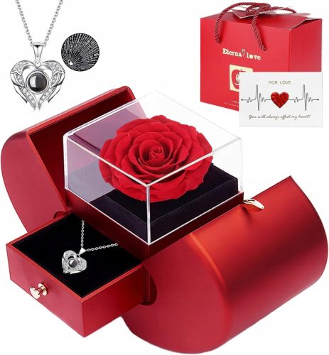 Ewige Rose im Glas mit Halskette - Einzigartiges Valentinstag Geschenk für Sie