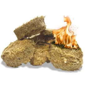  Fenix Anzündholz 10 kg