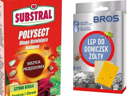 Effektiver Insektenbekämpfer und Pflanzenschutz: Polysect Mszyca 100ml von Substral