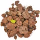  Filtermaterial für Kläranlagen für Klärgruben 20-40mm PUZZOLANA PUZOLANA 20 KG