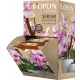  Organischer, natürlicher Dünger Biopon flüssig 1 kg 1,44 l
