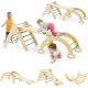  Kletterbogen und Leiter und Rutsche Indoor-Kletterspielplatz