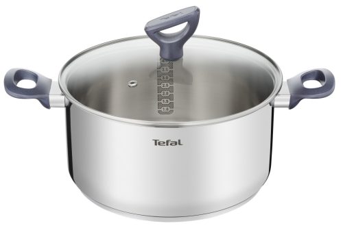 Tefal Daily Cook Edelstahl Kochtopf 20 cm mit Deckel