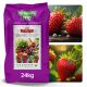  Erdbeerdünger 24kg Erdbeersämlingsdünger ORO FRUITS 100 Tage