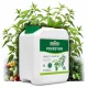  Brennnessel-Dünger, Tomaten-Gurken-Stimulator, natürlich, Biovita 5 l