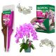  BOPON DUO FÜR ORCHIDEEN PFLEGT UND REGENERIERT BIOPON APPLICATOR ELIXIR 36x