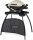  Weber Q1000 Stand Gasgrill Gussrost 43x32cm mit Ständer 2,49kW