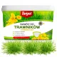  Target Mehrkomponenten-Düngergranulat 8 kg 165 l