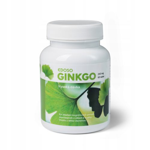 Ginkgo Biloba Blattextrakt 240 mg, 60 überzogene Tabletten für kognitive Funktion und Lebensqualität