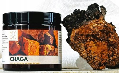 Chaga Kapseln - Unterstützung für Verdauung und Immunsystem, 90 Stück