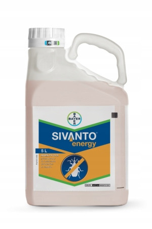 Sivanto Energy 5L – Neuer Insektizid von Bayer für den Rapsanbau