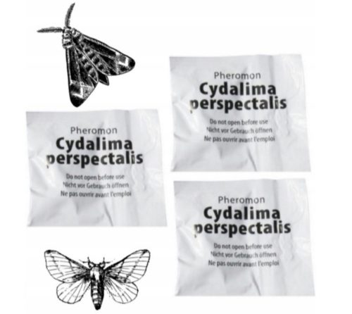 Effektiver Pheromon-Nachfüllpack zur Bekämpfung der Buchsbaumzünsler, 3 Stück
