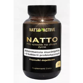   Natto Active K2 MK7 + Akkermansia + 9 Probiotische Stämme - 60 enterische Kapseln