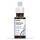 HealthX Damiana Extrakt 10:1 Tropfen 50 ml - Natürliches Energie- und Vitalitätsunterstützung