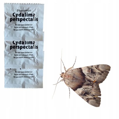 Feromon Lockstoff für Adoxophyes orana Schmetterlingsfallen