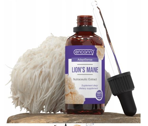 Encann Lion's Mane - Starkes Extrakt in Tropfenform, 50 ml
