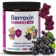Berroxin® Gummies: Zuckerfreie Pektin-Gelees zur Unterstützung des Immunsystems