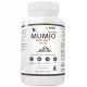 Himalaya Mumio Shilajit Extrakt 400mg - 90 Kapseln für Gesundheit & Vitalität