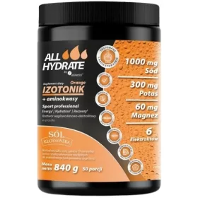   Aliness Isotonik Orange+Aminosäuren 840g - Natürliche Hydration & Energie