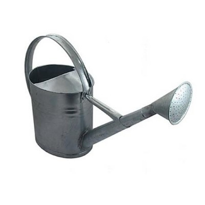  XL-Gießkanne, 10 l, Metall, Grau- und Silbertöne