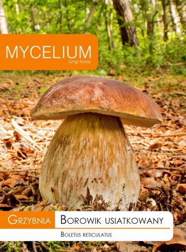  Myzel retikuliertes Steinpilzmyzel 10 g
