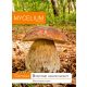  Myzel retikuliertes Steinpilzmyzel 10 g