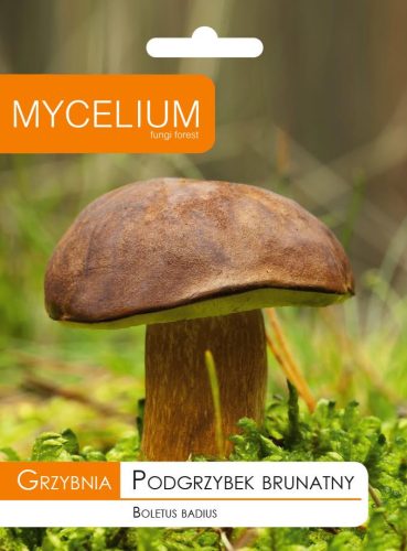  Myzel Myzel Brauner Steinpilz 0,01 kg