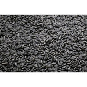  SCHWARZE SONNENBLUME WINTERFUTTER TITKORE FEEDER 5kg
