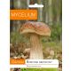  MYBEL BIRKENSTOFF, PILZE Waldpilze