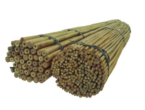 Gartenpfähle für Pflanzen Dixiestore Bambusstange 180 cm x 16 mm 50 Stk.