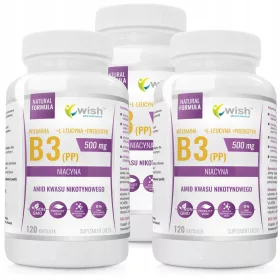   WISH Pharmaceutical® Vitamin B3 (Niacin) 500mg VEGE + L-Leucin + Präbiotikum