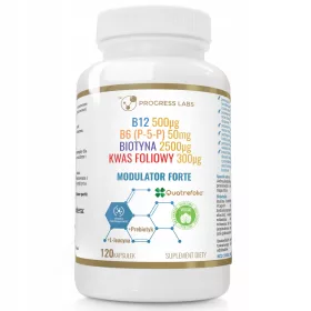   Modulator Forte: Vitamin B-Komplex mit L-Leucin & Prebiotikum, Vegankapseln von VegeProgress