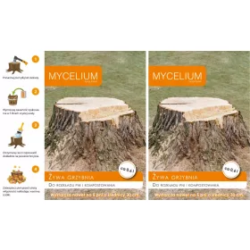    Myzel zur Baumstammzersetzung und Kompostierung Mycelium 0,6 l