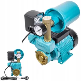  Omnigena 250 W 2100 l/h Oberflächenpumpe