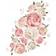  Wandaufkleber-Set Blumen Pfingstrosen 2 60x100