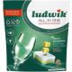  All-in-One-Geschirrspültabs (All-in-One) Ludwik 41 Stk.
