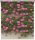  Außenfotorollo BLUMEN, Maße, Druck: 81x150