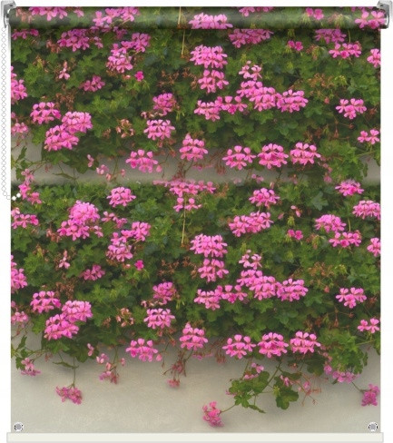  Außenfotorollo BLUMEN, Maße, Druck: 81x150