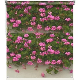  FOTOJalousien Balkon Terrasse 80 Muster 83x150