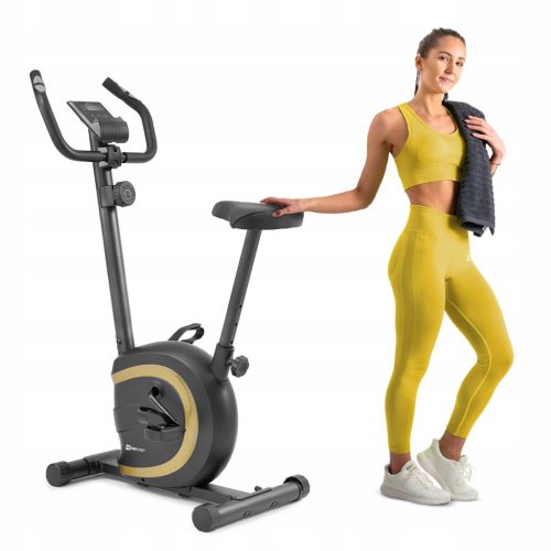  Hop-Sport HS-015H vertikales magnetisches Heimtrainer