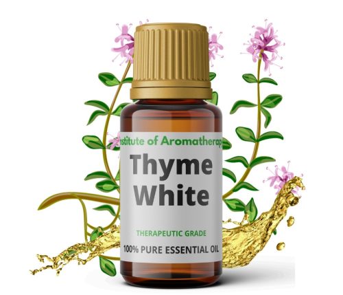 Essentielle Öle Ätherisches Thymianöl Institut für Aromatherapie 5 ml
