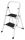Eurogold Leiter 2,5 m Stahl bis 150 kg