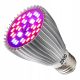 Lampe für den Pflanzenanbau - GROW-Glühbirne für den Pflanzenanbau ZEED.pl 40 W