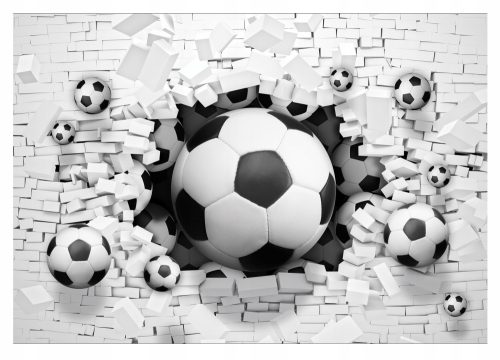 3D-Fototapete FUSSBALL WALL BRICK BALLS 368x254