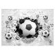 3D-Fototapete FUSSBALL WALL BRICK BALLS 368x254