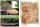  2x Pg POSZWALD Eco Mycelium zur Zersetzung von Baumstämmen