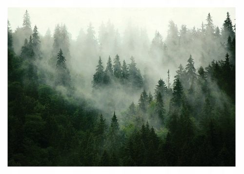 Fototapete WALD IM NEBEL Bäume Berge VINYL 368x254